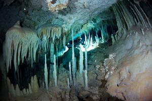 Gliding through a crystal forest in Dan's Cave. Photo by Jill Heinerth