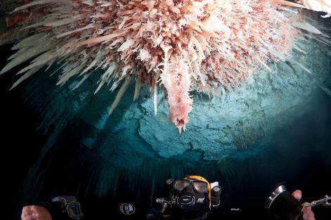 Stalactites and Helictites along the route to the new south passage in Dan's Cave. Photo by Arek Pers